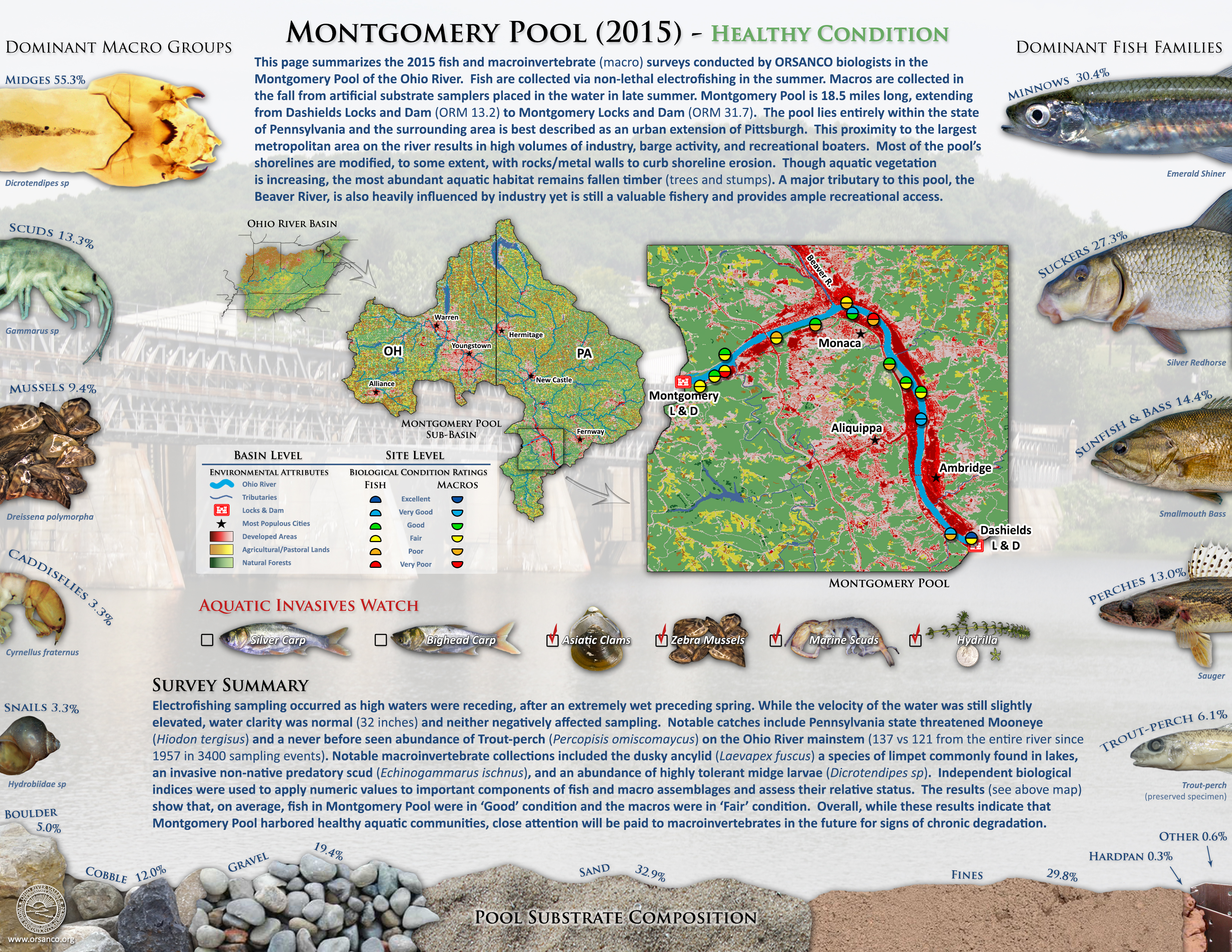 effects on aquatic habitat and fish School of aquatic and to minimize negative effects along armoured shorelines, fish assemblages that directly indicate fish habitat. effects on aquatic habitat and fish School of aquatic and to minimize negative effects along armoured shorelines, fish assemblages that directly indicate fish habitat.
