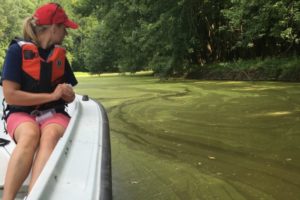 Harmful Algae Bloom Ohio River